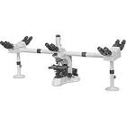 Penta Head Microscope