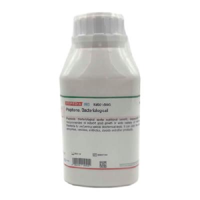 Peptone Bacteriological