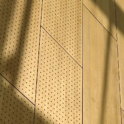 Perforated Acoustic Panels