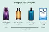 Perfume And Fragrances
