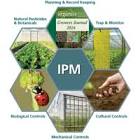 Pest Management