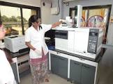 Pesticide Residues Testing Services