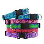 Pet Collars