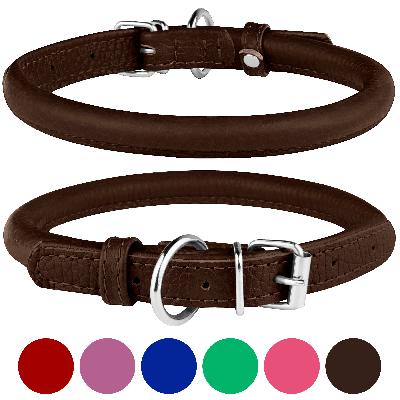 Pet Collar & Accessories