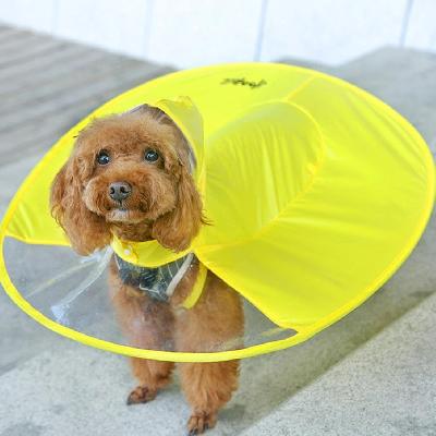 Pet Raincoat