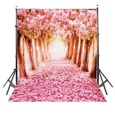 Photography Backdrop
