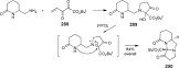 Phthalimide Derivative