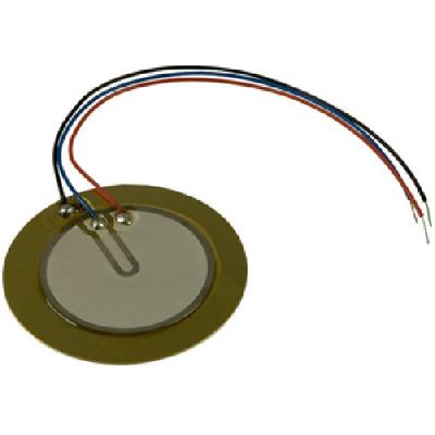 Piezoelectric Transducer 