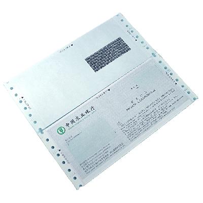 PIN Mailer