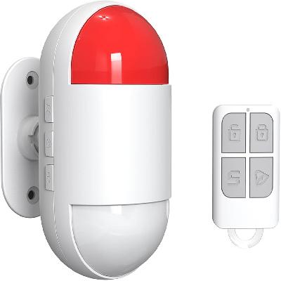 PIR Alarm