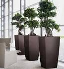 Plant Designing Services