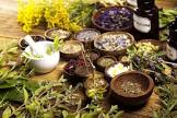 Plant Extracts