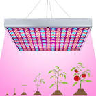 Plant Growing Light