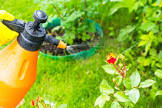 Plant Pest Control