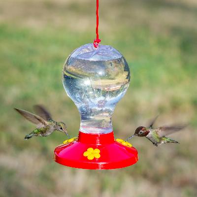 Plastic Bird Feeder 