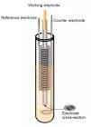 Platinum Electrodes