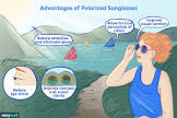 Polarized Sunglasses
