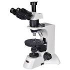 Polarizing Microscope