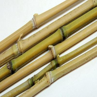 Polished Bamboo Sticks