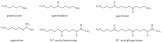 Polyamine