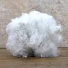 Polyester Fiber