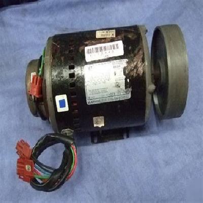 Polyphase Motors 