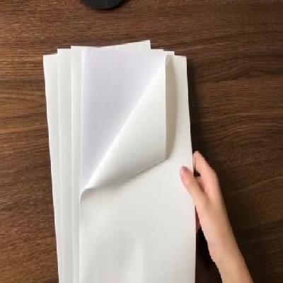 Polypropylene Paper