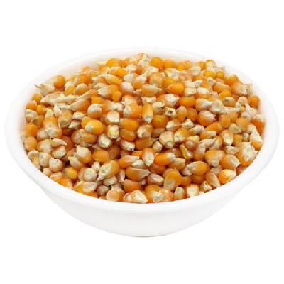 Popcorn Seeds