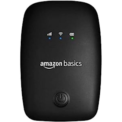 Portable Internet Device