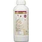 Poultry Feed Supplements