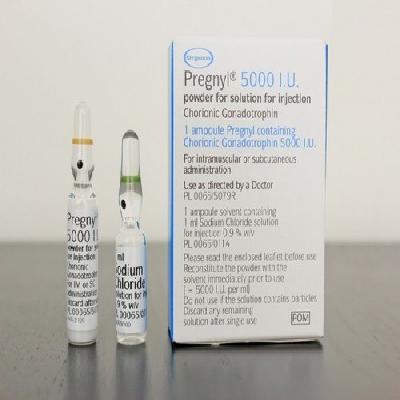 Pregnyl Injection