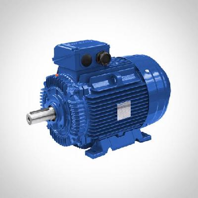Premium Efficiency Motors
