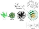 Pretreatment Chemical