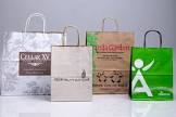 Printed Paper Bag