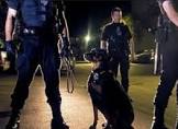 Private Security Officer