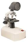 Projection Microscope