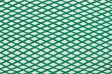 Protective Net