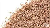Psyllium Seeds