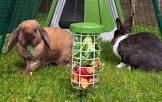 Rabbit Holder