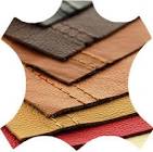 Raw And Processed Leather