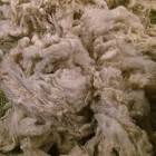 Raw Wool