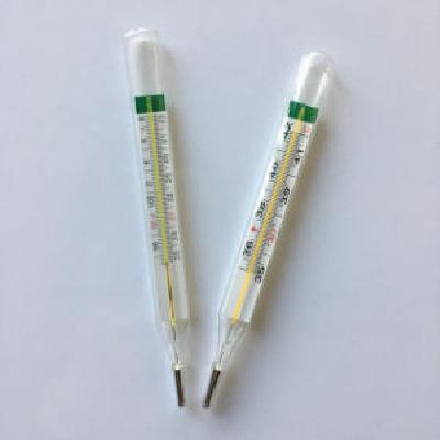 Rectal Mercury Thermometer