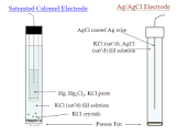 Reference Electrodes
