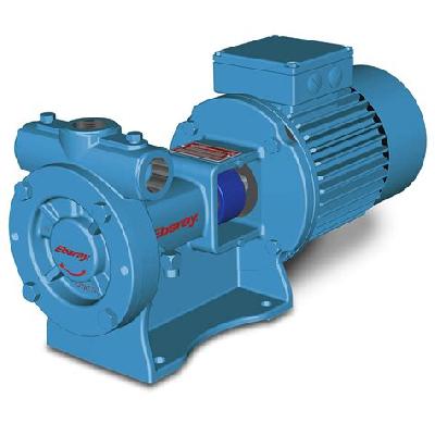 Regenerative Turbine Pumps