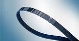 Ribbed Belt