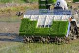 Rice Transplanter