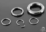 Ring Segment