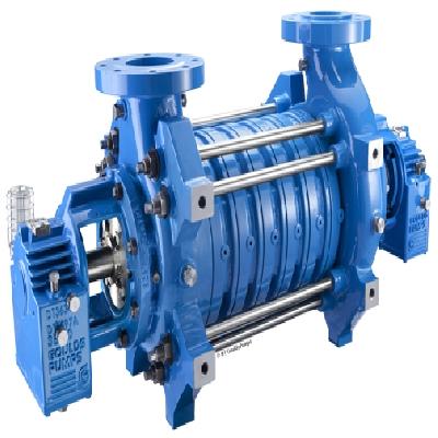 Ring Section Pumps