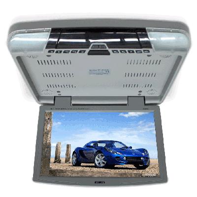 Roof Mount DVD