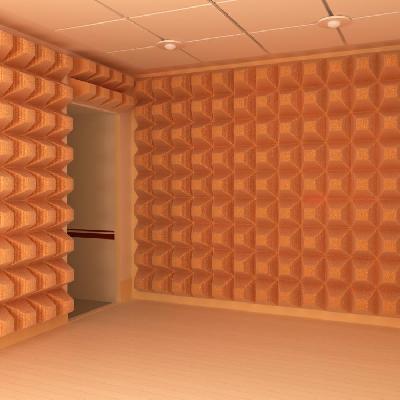 Room Acoustic Insulation